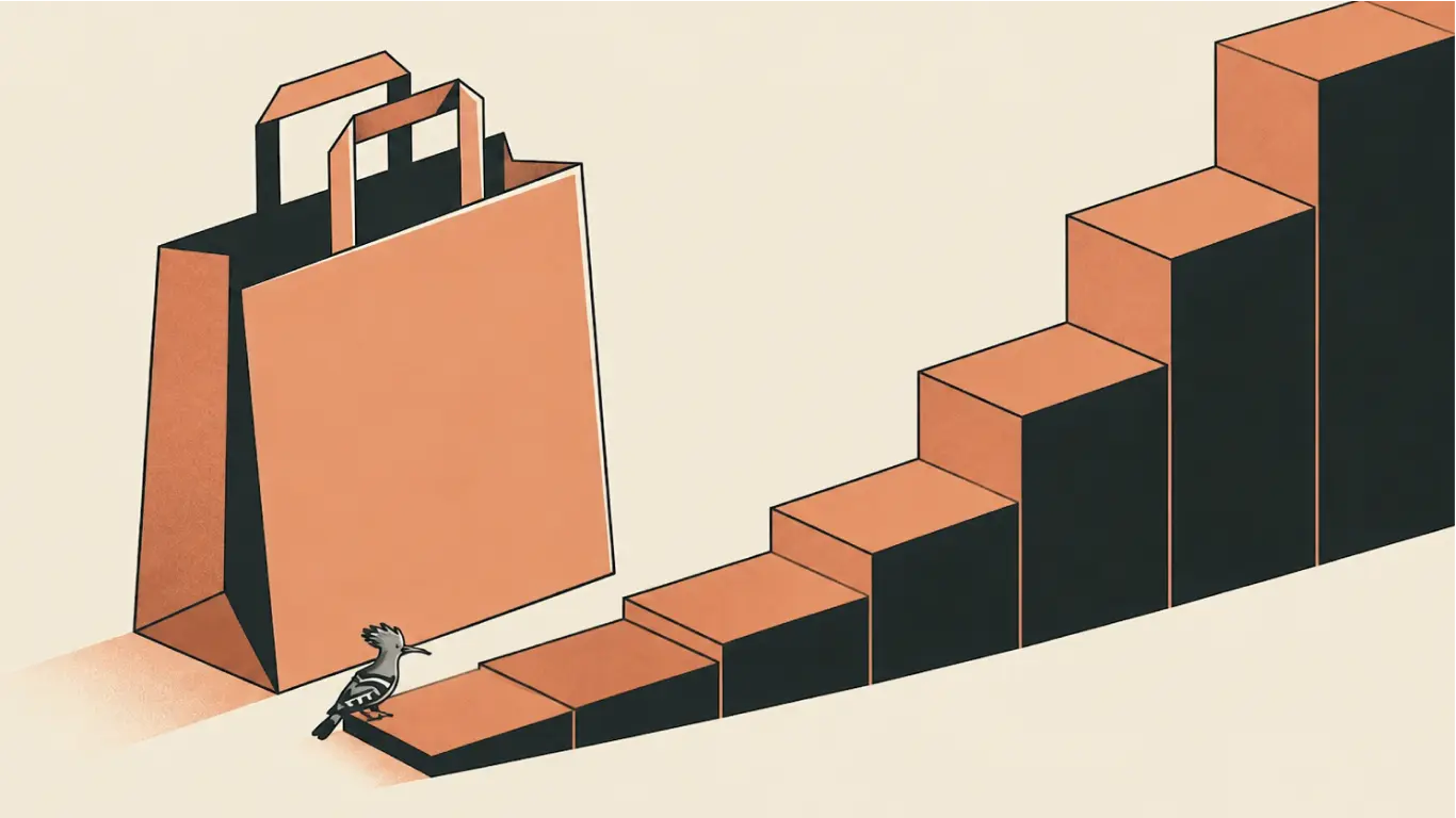 Buy Now, Pay Later: How Consumer Finance Became Part of Egyptian Life
