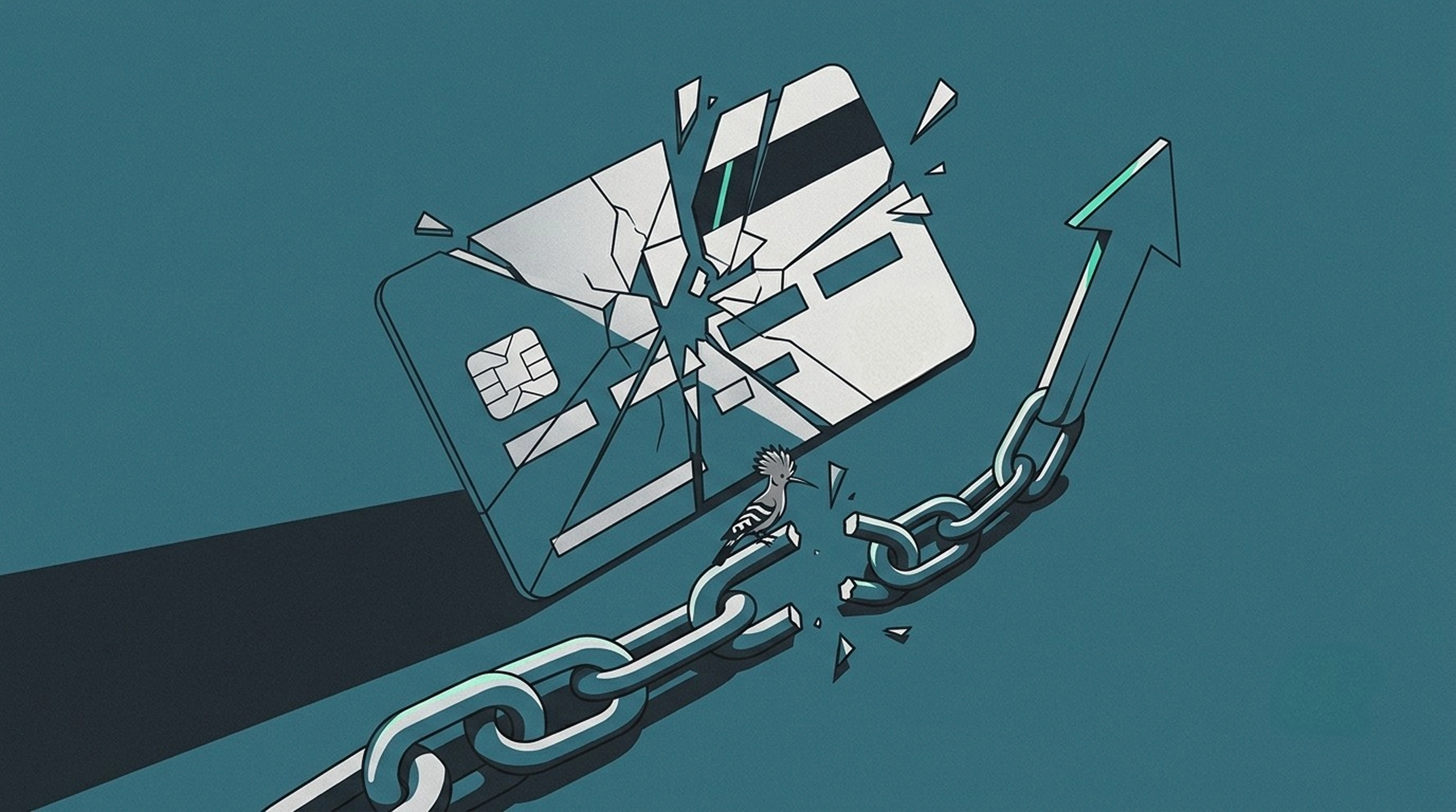 Xeer's Card Debt Elimination Strategy